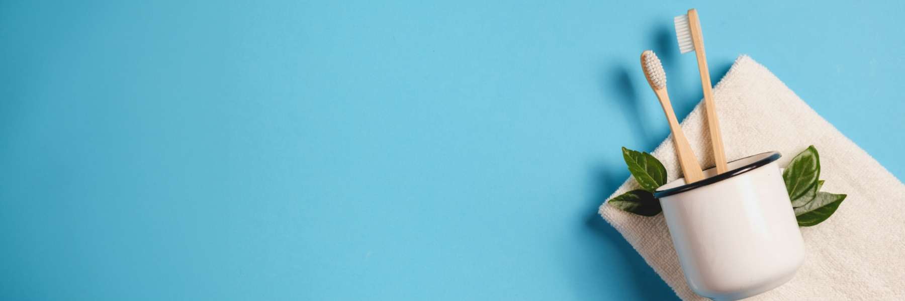 A cup with two tooth brushes in Bayswater, WA